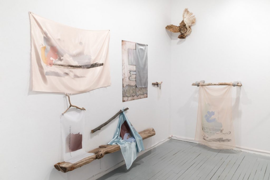 Geneviève Cadieux-Langlois - Art contextuel