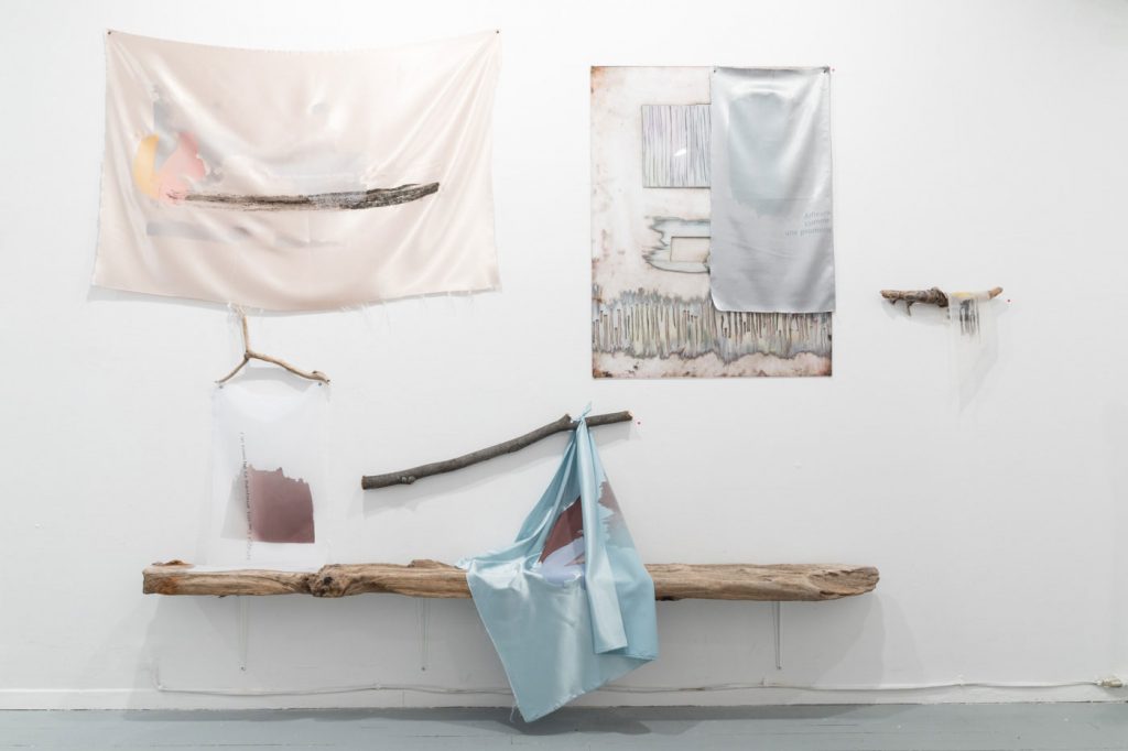 Geneviève Cadieux-Langlois - Art contextuel