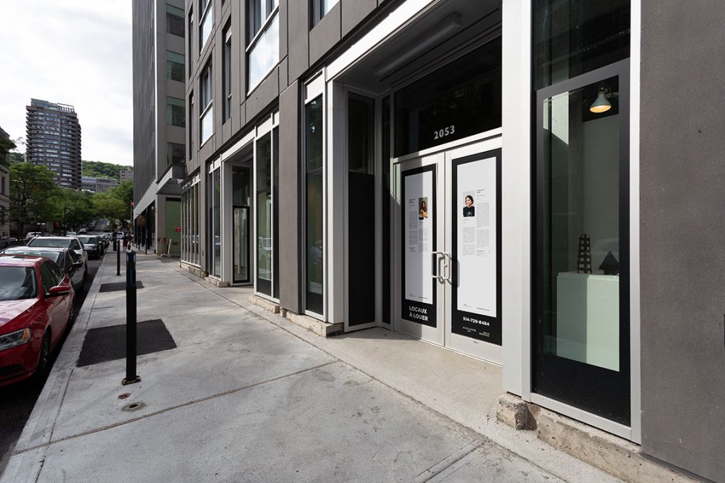Sophie-Ève Adam - Image 6 - Vitrine sur l'art 2019