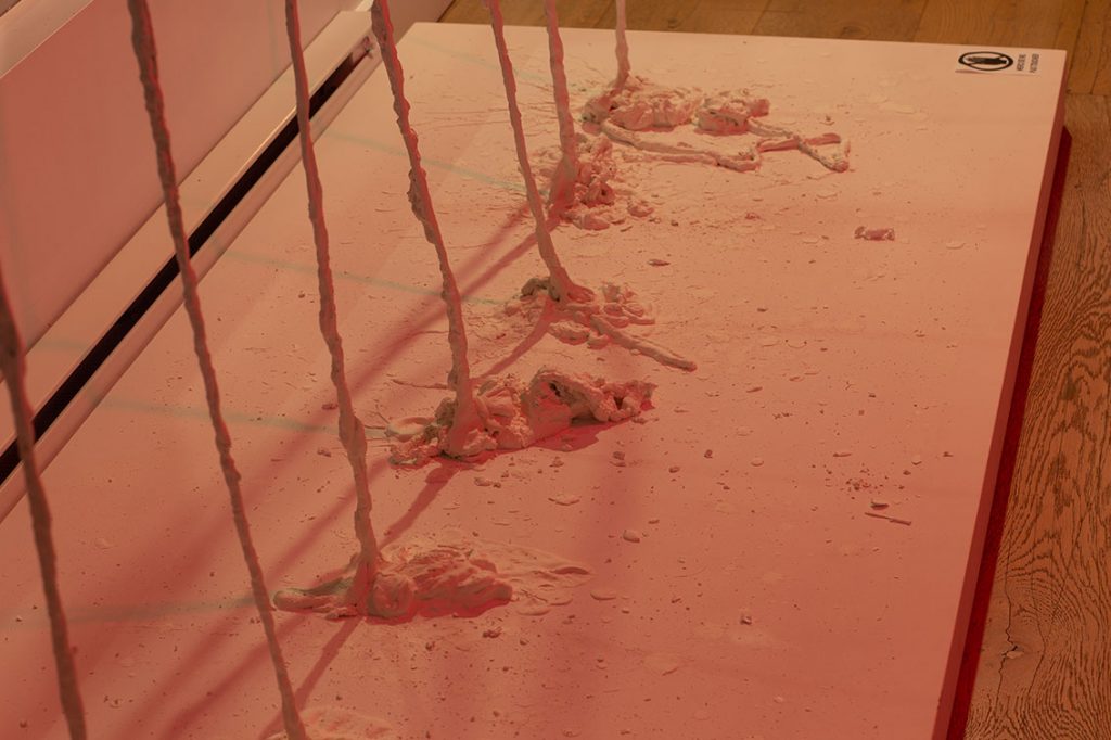 Marc Dulude - Récits d’un possible… la montée en haut ! - Vitrine sur l'art 2019