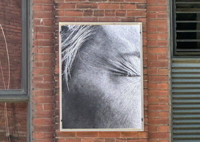 Œuvre photographique de l'artiste Montréalaise Maude Arsenault exposée sur la façade d'Ubisoft Montréal; La photographie en noir et blanc montre un gros plan sur les détails de la peau d'une personne au niveau de l'œil droit